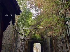 -龙潭水乡