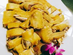 自养走地阉鸡-叙兴楼(礼东财记农庄分店)