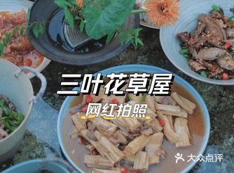 夏日傍晚约上三五好友来三叶吧！