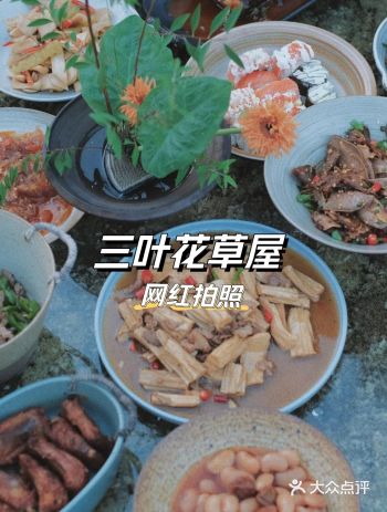夏日傍晚约上三五好友来三叶吧！