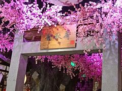 -韵秋荷(宝山龙湖天街店)