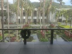 -半山半岛洲际度假酒店·观海廊