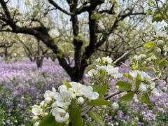-江苏三台山国家森林公园