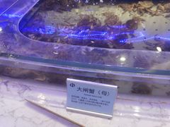 -澜悦港海鲜体验主题餐厅