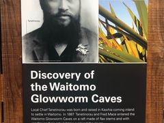 -怀托摩萤火虫洞