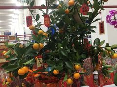 -山姆会员商店(上海浦东店)