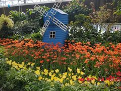 -南宫五洲植物乐园