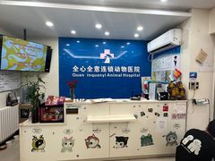 -全心全意连锁动物医院·微创中心·内科急重症·心脏专科(丰管路店)