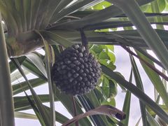 -贺富酒家(白藤二路分店)