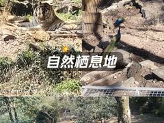 -杭州野生动物世界