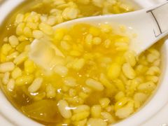 -金燕岛潮州酒楼