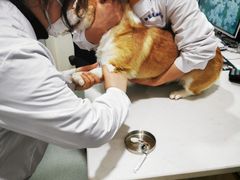 -宝山区动物疫病预防控制中心(永乐汇生活广场店)