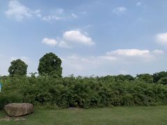 -九里河湿地公园