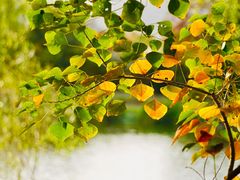 -长广溪湿地公园