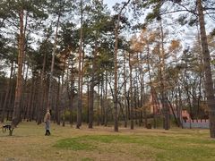 -黑龙江省森林植物园