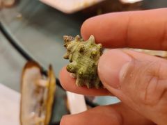 -沈家门海鲜夜排档(东港店)