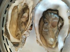 -港畔赶海蒸汽海鲜烧烤自助(仙螺岛店)