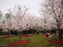 -自然谷恐龙园