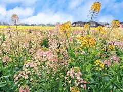 -中国天府农业博览园