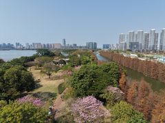 -顺峰山公园