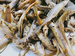 -霞姐屯昌枫木香草鸭店(海螺店)