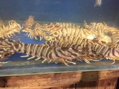 -浩运·海鲜青岛菜·海胆水饺(石老人店)