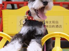 -太阳岛度假酒店