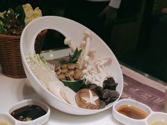 -洪氏嗨捞·猪肚鸡火锅(阳光天地店)