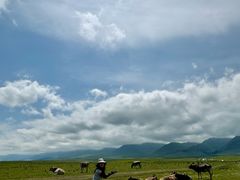 -新疆那拉提国家旅游度假区