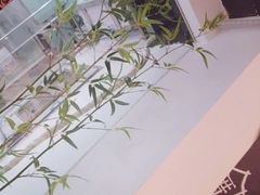 -厝内小眷村(天河南一路店)