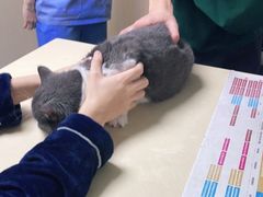 -宠颐生宠物医院外科·内科·皮肤科·影像科(石龙店)