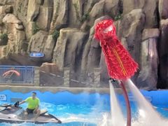 -青岛东方影都融创水世界