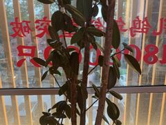 -鸽子侯·家宴·平价海鲜(市图书馆店)