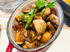 -the rug 飞毯 (朝阳公园店)