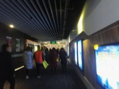放映厅-奥斯卡升龙国际影城(RealD Cinema)