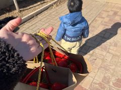 -甜心庄园·甜心草莓采摘园(西青中北店)