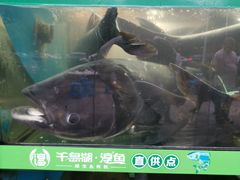 -好灶头妈妈菜·柴火灶台鱼·千岛湖土菜地标美食