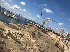 -星海广场