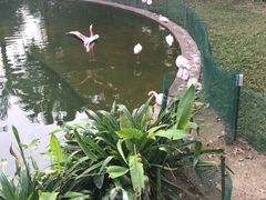 -九龙公园
