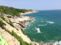 -广东惠东海龟国家级自然保护区