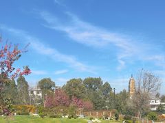 -云禾壹海景庄园餐厅