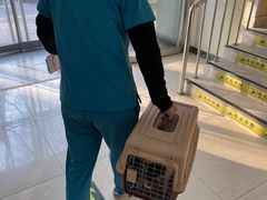 -美联众合动物医院·24h转诊中心