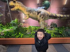 -自贡恐龙博物馆