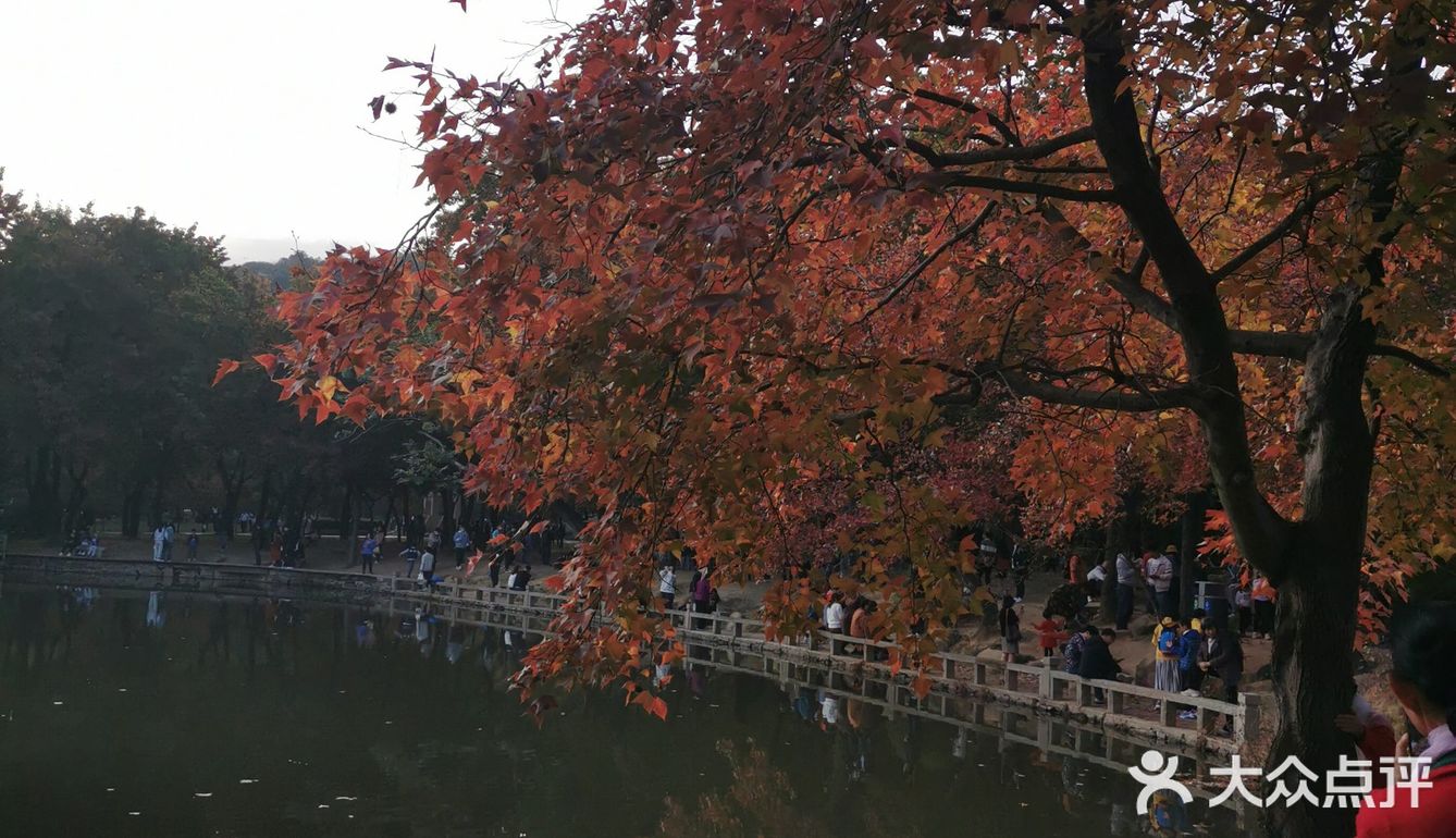 景色美 空气好