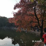 景色美 空气好