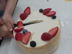 -甜栀·动物奶油蛋糕