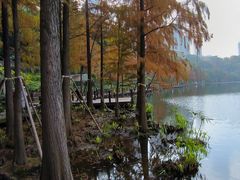 -重庆彩云湖湿地公园