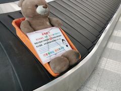 -青岛胶东国际机场