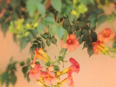 -桂林公园(地铁站)