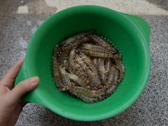 -盒马鲜生(观音桥店)